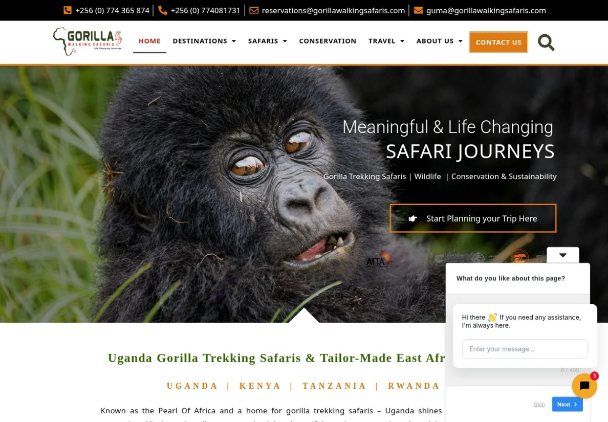 Gorilla Walking Safaris — live website design preview