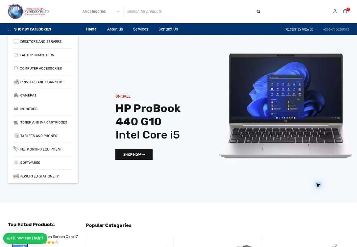 Limsue Global Investments — live website design preview