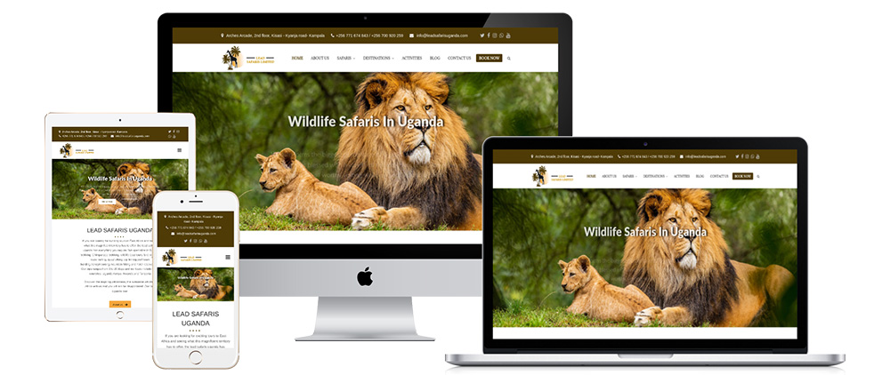 Website Designing in Uganda