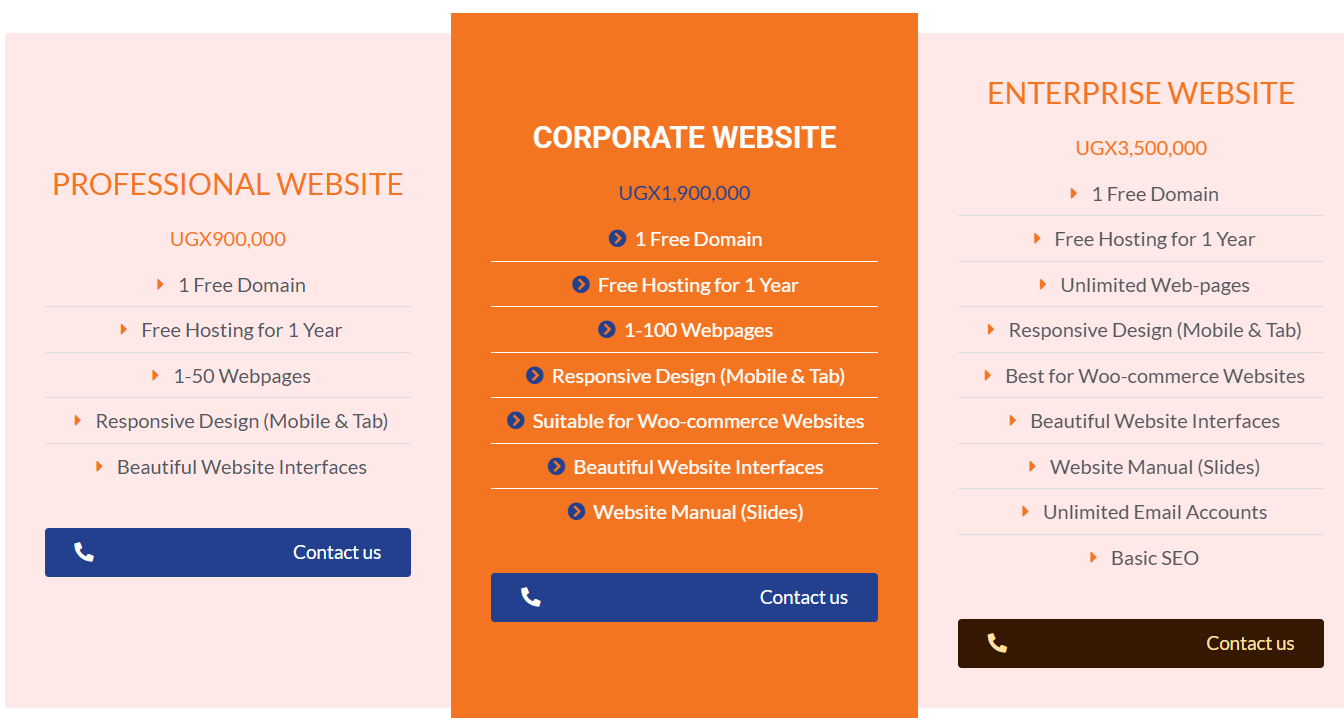 website cost in Uganda
